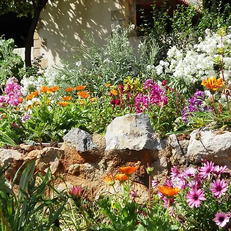 Iliopetro Апартаменты *