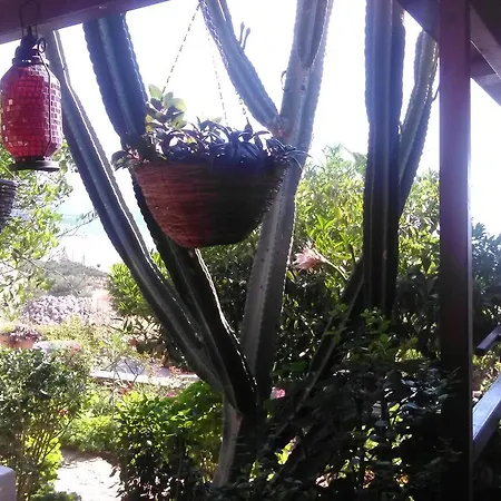 Апартаменты Iliopetro *