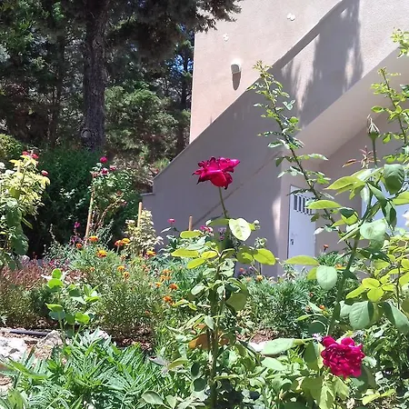 Iliopetro Апартаменты *