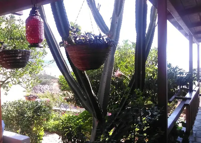 Apartman Iliopetro *