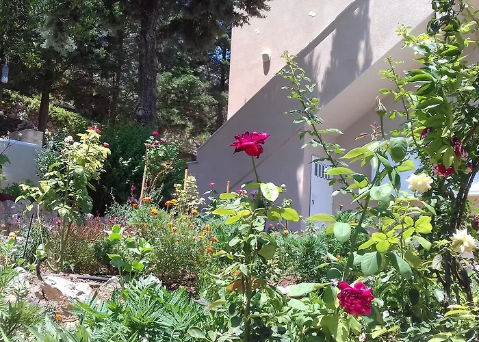 Iliopetro Apartman *